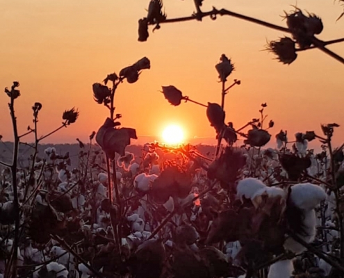 2019 Textile Exchange Sustainability Conference